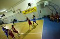 Basket 443110